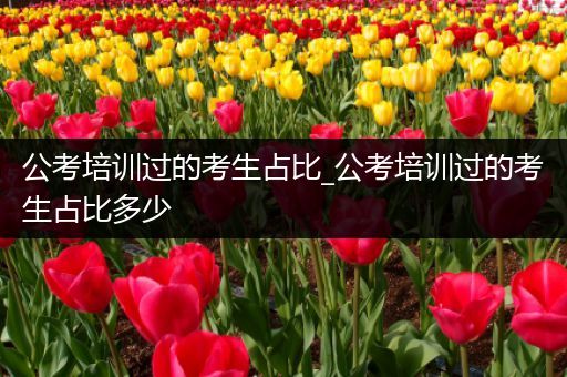 公考培训过的考生占比_公考培训过的考生占比多少