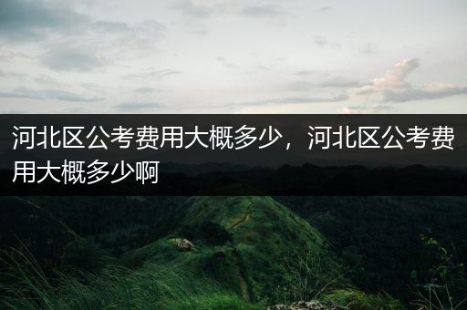 河北区公考费用大概多少，河北区公考费用大概多少啊