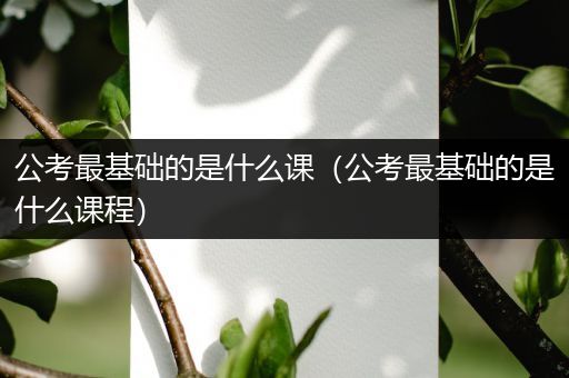 公考最基础的是什么课（公考最基础的是什么课程）