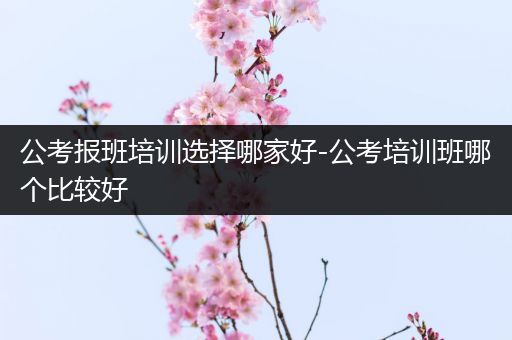 公考报班培训选择哪家好-公考培训班哪个比较好