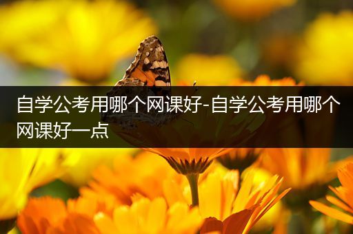 自学公考用哪个网课好-自学公考用哪个网课好一点