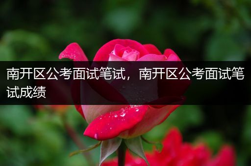 南开区公考面试笔试，南开区公考面试笔试成绩