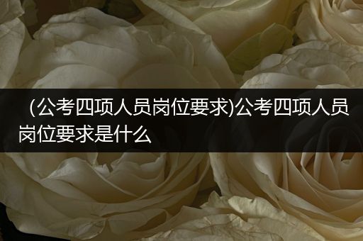 （公考四项人员岗位要求)公考四项人员岗位要求是什么