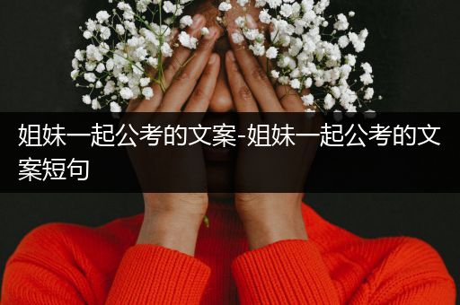 姐妹一起公考的文案-姐妹一起公考的文案短句