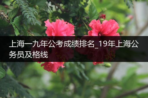 上海一九年公考成绩排名_19年上海公务员及格线