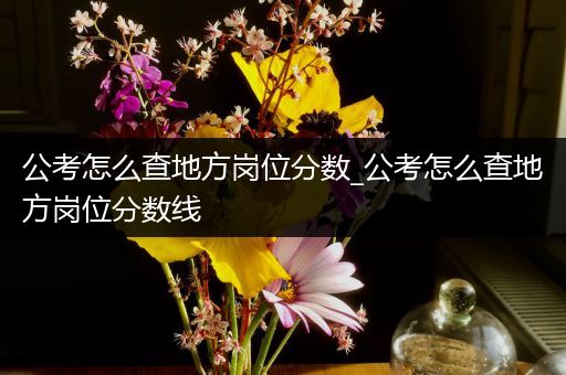 公考怎么查地方岗位分数_公考怎么查地方岗位分数线