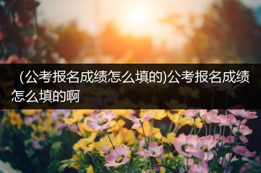 （公考报名成绩怎么填的)公考报名成绩怎么填的啊