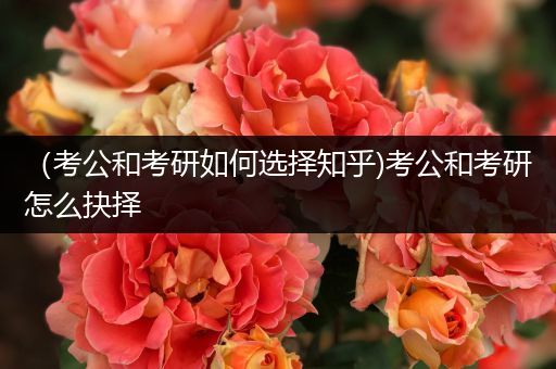 （考公和考研如何选择知乎)考公和考研怎么抉择