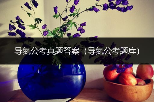 导氮公考真题答案（导氮公考题库）