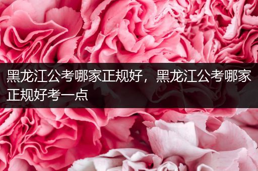 黑龙江公考哪家正规好，黑龙江公考哪家正规好考一点
