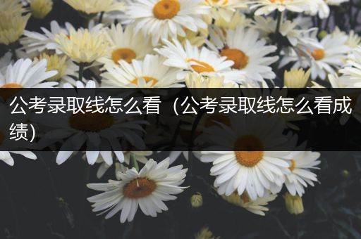 公考录取线怎么看（公考录取线怎么看成绩）