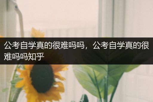 公考自学真的很难吗吗，公考自学真的很难吗吗知乎