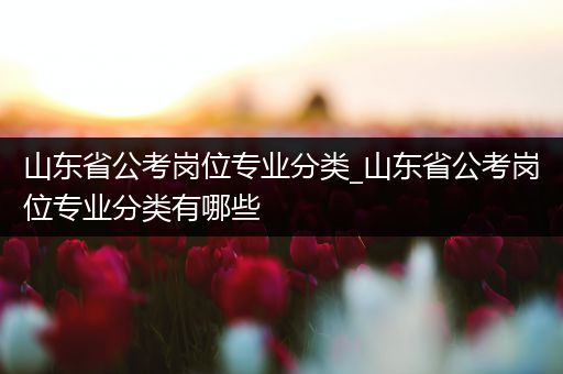 山东省公考岗位专业分类_山东省公考岗位专业分类有哪些