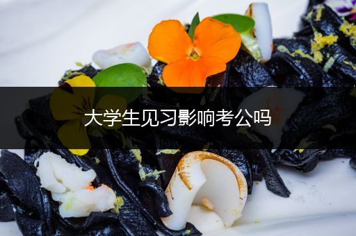 大学生见习影响考公吗