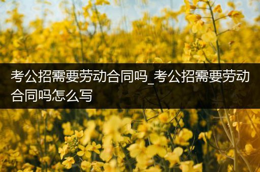 考公招需要劳动合同吗_考公招需要劳动合同吗怎么写