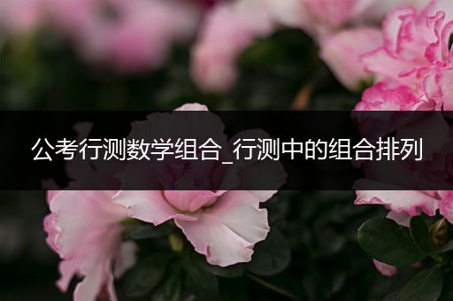 公考行测数学组合_行测中的组合排列