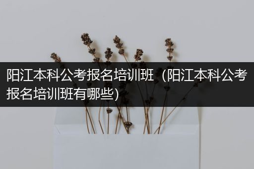 阳江本科公考报名培训班（阳江本科公考报名培训班有哪些）