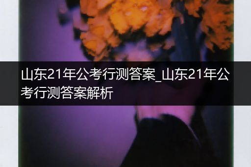 山东21年公考行测答案_山东21年公考行测答案解析