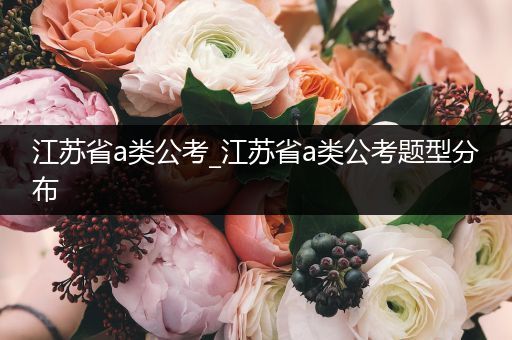 江苏省a类公考_江苏省a类公考题型分布