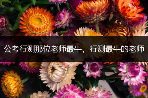 公考行测那位老师最牛，行测最牛的老师