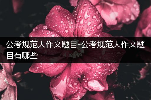 公考规范大作文题目-公考规范大作文题目有哪些