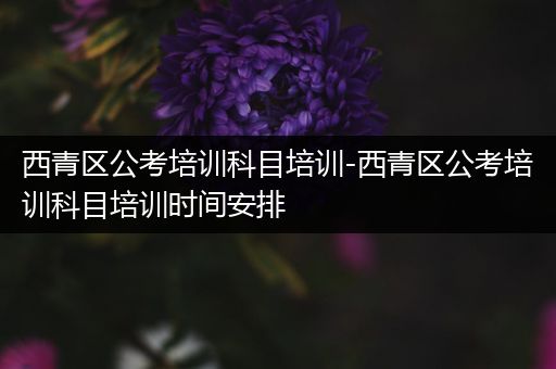 西青区公考培训科目培训-西青区公考培训科目培训时间安排