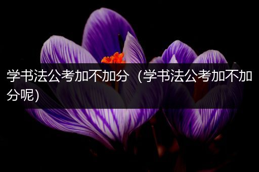 学书法公考加不加分（学书法公考加不加分呢）