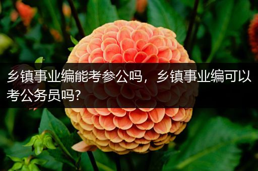 乡镇事业编能考参公吗，乡镇事业编可以考公务员吗?