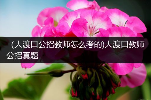 （大渡口公招教师怎么考的)大渡口教师公招真题