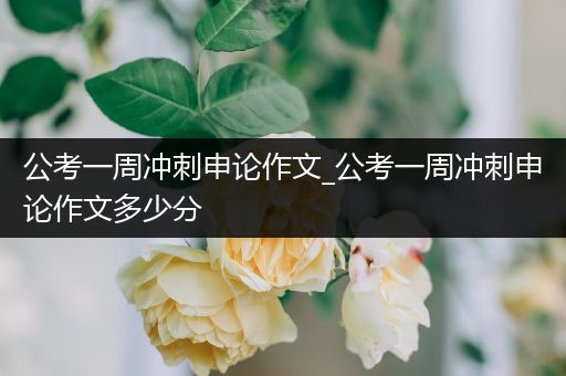 公考一周冲刺申论作文_公考一周冲刺申论作文多少分
