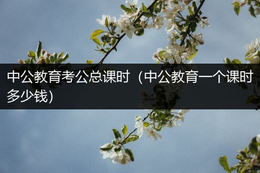 中公教育考公总课时（中公教育一个课时多少钱）
