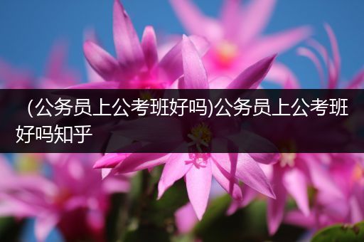 （公务员上公考班好吗)公务员上公考班好吗知乎