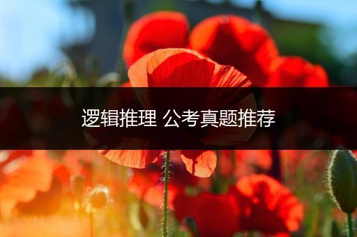 逻辑推理 公考真题推荐