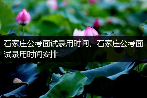 石家庄公考面试录用时间，石家庄公考面试录用时间安排