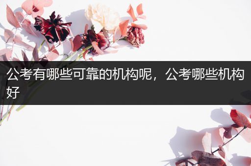 公考有哪些可靠的机构呢，公考哪些机构好