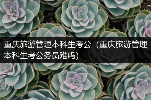 重庆旅游管理本科生考公（重庆旅游管理本科生考公务员难吗）