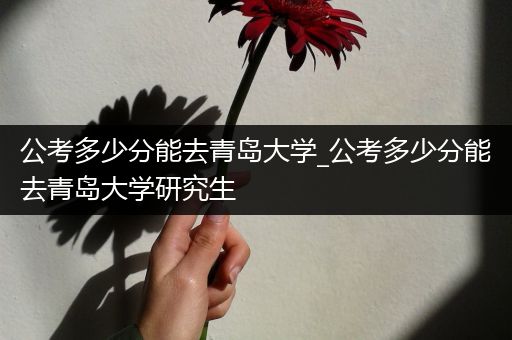 公考多少分能去青岛大学_公考多少分能去青岛大学研究生