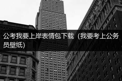 公考我要上岸表情包下载（我要考上公务员壁纸）