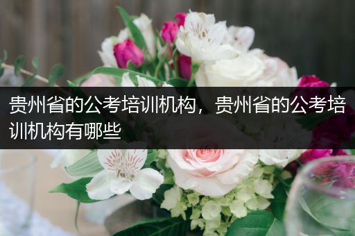 贵州省的公考培训机构，贵州省的公考培训机构有哪些