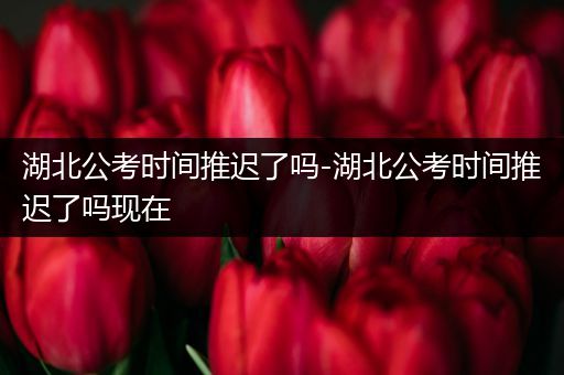 湖北公考时间推迟了吗-湖北公考时间推迟了吗现在