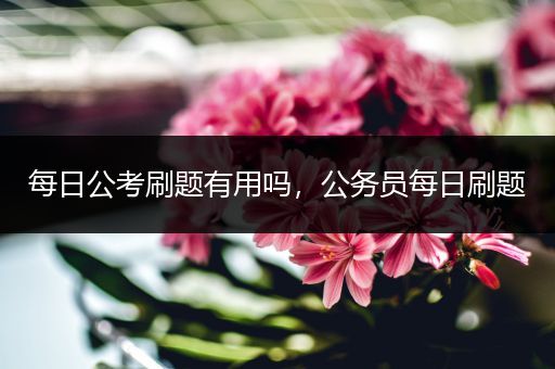 每日公考刷题有用吗，公务员每日刷题