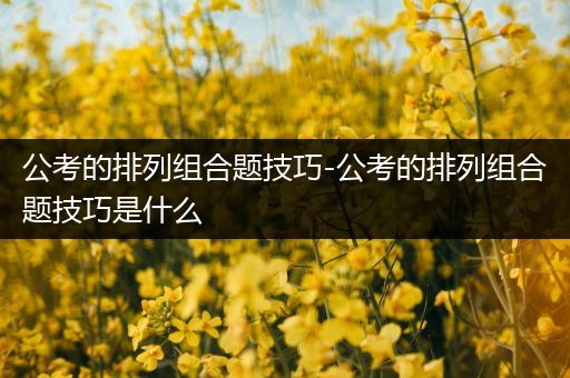 公考的排列组合题技巧-公考的排列组合题技巧是什么