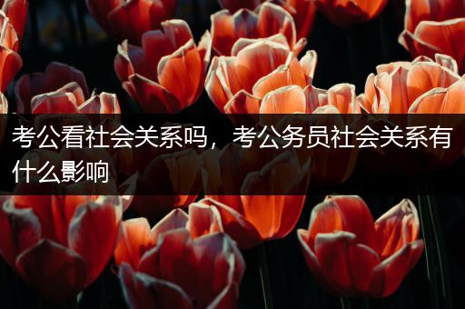 考公看社会关系吗，考公务员社会关系有什么影响