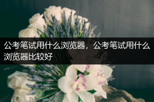 公考笔试用什么浏览器，公考笔试用什么浏览器比较好