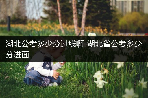 湖北公考多少分过线啊-湖北省公考多少分进面