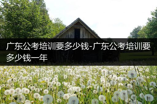 广东公考培训要多少钱-广东公考培训要多少钱一年