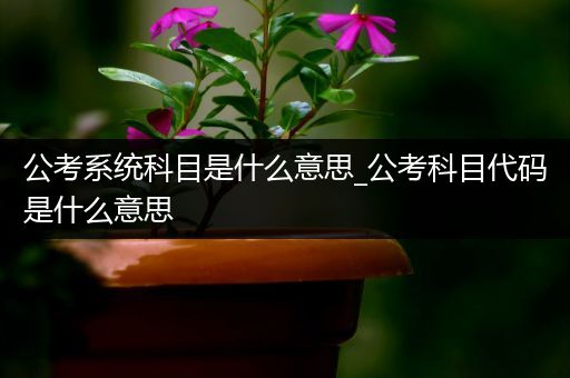 公考系统科目是什么意思_公考科目代码是什么意思