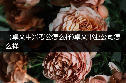 （卓文中兴考公怎么样)卓文书业公司怎么样