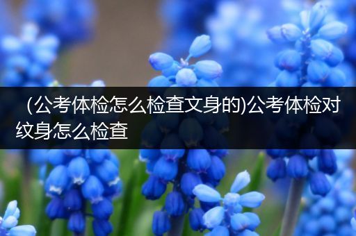 （公考体检怎么检查文身的)公考体检对纹身怎么检查