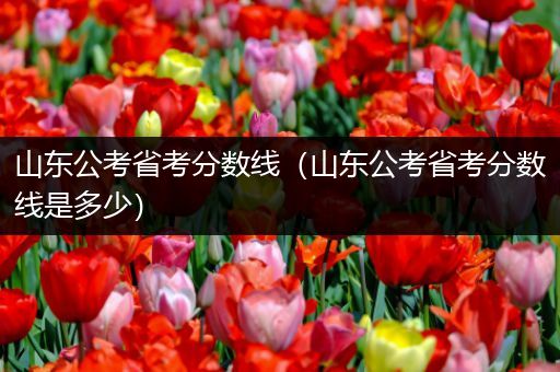 山东公考省考分数线（山东公考省考分数线是多少）